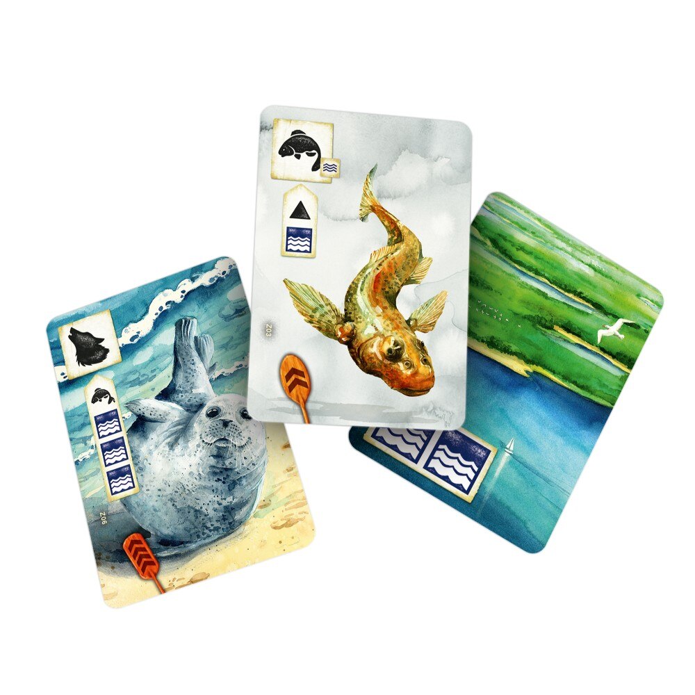 Meadow - Downstream Expansion